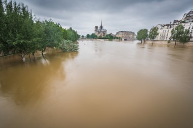 Paris onun bankalar Seine Nehri taşıyor