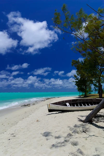 Barco de pesca em algumas árvores, na ilha Rodrigues, Maurícia — Fotografia de Stock