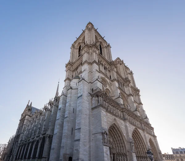 Notre dame de Paris perspektif görünüm, Paris, Fransa