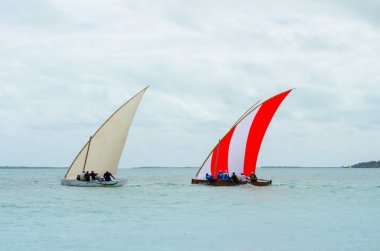 Renkli tekneler yarış rekabet yelken
