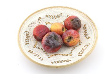 Plaka üzerinde çürük elma