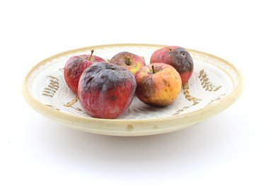 Plaka üzerinde çürük elma