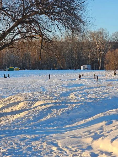 Ördekler kışın parkta karların üzerindedir.