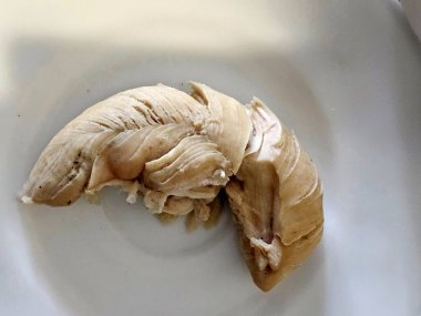 beyaz arkaplan ile taze kabuk