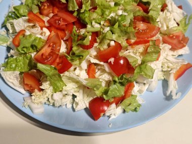 Sebzeli ve peynirli taze salata