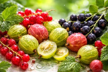 Bahçede taze meyveler