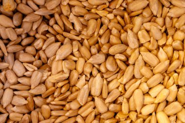 Taze kavrulmuş ayçekirdeği yığını dokulu bir besin kaynağı oluşturuyor.