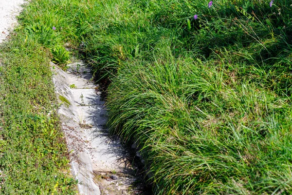 Bir beton drenaj çukuru, yemyeşil çimenler boyunca çaprazlama akar ve sol kıyısında az miktarda yeşil bitki örtüsü bulunur..
