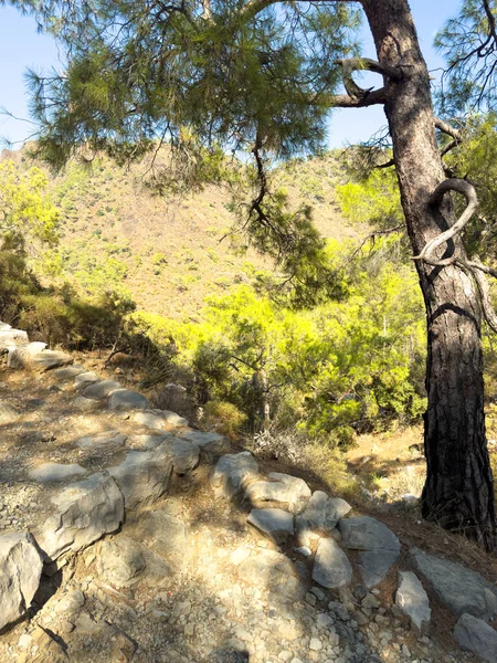 Chimaera Dağı, antik Lycia 'da bir yerin adıydı. Kayalık bir patika, açık mavi bir gökyüzünün altında, güneşten sırılsıklam olmuş, bitkisel bir yamaçla bir çam ağacının yanında yükseliyor..