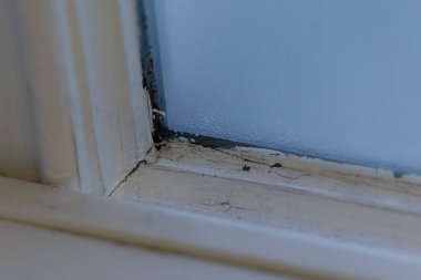 Kirli bir pencere pervazında büyüyen siyah küf ve camda oluşan buğulanma.