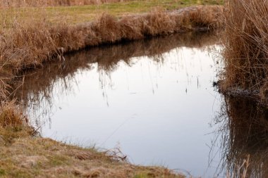 Sakin su, sonbaharın sonlarında kuru otlar ve sazlıklarla çevrili sessiz gökyüzünü yansıtıyor.