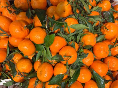 Sağlıklı besin sunan yapraklı olgun mandalina yığını.