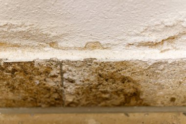 İç duvarda geniş su hasarı, rutubet ve nemden kaynaklanan boyaların soyulduğu görülüyor.