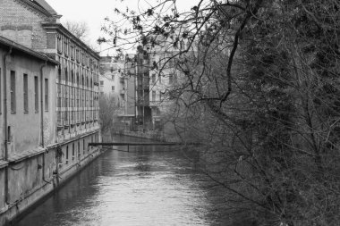 Tarihi mimarisi ve birbirine dolanmış siyah beyaz ağaç dallarıyla Augsburg City Kanalı