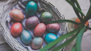 Paskalya yumurtaları, filizin yanındaki dokuma sepetinde. Dikey Bahar natürmortu. Yüksek kalite fotoğraf