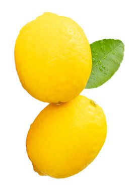 Yığınla yeşil limon yaprağı olan iki olgun sarı limon meyvesi beyaz arka planda kırpma yolu ile izole edilmiştir..