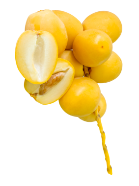 Taze, sarı, Barhi hurma meyveleri, küçük demetler halinde, yarım yamalak, kırpma yolu ile izole edilmiş. png dosya biçiminde. Müslümanlar için Ramazan ayında iftar yemeği kavramı