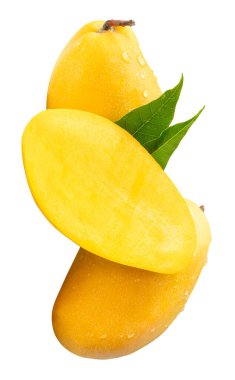 İki olgun sarı mango meyvesi ve yarım yeşil mango yapraklı ve yığın halinde su damlacıkları kesme yolu ile beyaz arka planda izole edilir..