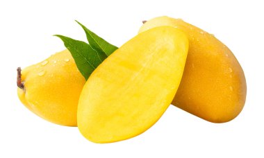 İki olgun sarı mango meyvesi ve yarım yeşil mango yapraklı ve yığın halinde su damlacıkları kesme yolu ile beyaz arka planda izole edilir..
