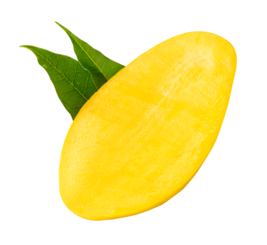 Yeşil mango yapraklı olgun sarı mango meyvesi üst görünümü png dosya biçiminde kırpma yolu ile izole edilir.