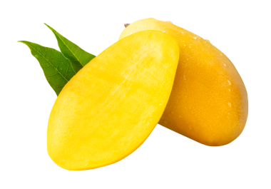 Tek olgun sarı mango meyvesi ve yarım yeşil mango yaprakları ve yığın halinde su damlacıkları png dosya biçiminde kırpma yolu ile izole edilir.