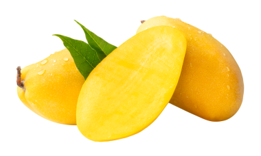İki olgun sarı mango meyvesi ve yarım yeşil mango yapraklı ve yığın halinde su damlacıkları png dosya biçiminde kırpma yolu ile izole edilir.