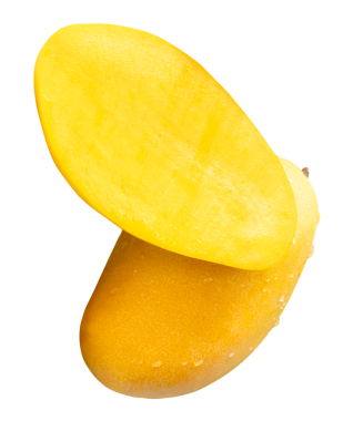 Tek olgun sarı mango meyvesi ve içinde su damlacıkları olan yarısı png dosya biçiminde kırpma yolu ile izole edilir.