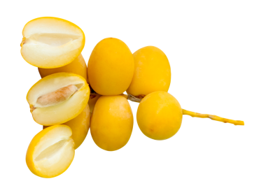 Taze olgun, sarı hurma meyveleri üst üste dizilmiş yarılar png dosya biçiminde kırpma yolu ile izole edilir. Müslümanlar için Ramazan ayında iftar yemeği kavramı