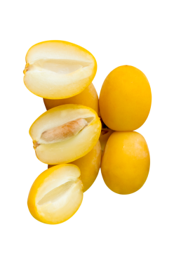 Png dosya biçiminde kırpma yolu ile taze, olgun, sarı Barhi hurma palmiye meyveleri üst üste dizilmiştir. Müslümanlar için Ramazan ayında iftar yemeği kavramı