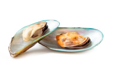 İki pişmiş veya buğulanmış yeşil midyenin ön görünümü kırpma yolu ile beyaz arka planda izole edilir.