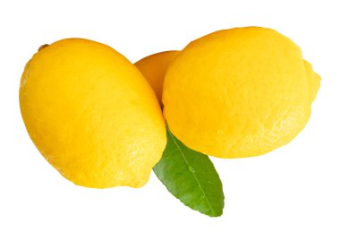 Yeşil limon yaprağıyla olgun sarı limon meyveleri ve yığın halinde damlacıklar kesme yolu ile beyaz arka planda izole edilir.