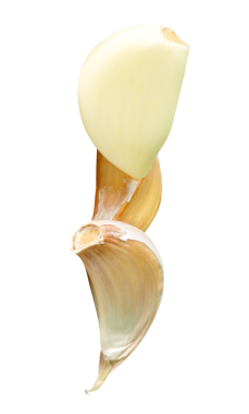 Kümelenmiş üç sarımsak karanfilinin yan görünümü png dosya biçiminde kırpma yolu ile izole edilmiştir.