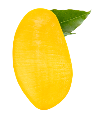 Yeşil yapraklı olgun sarı mango meyvesinin yarısı png dosya biçiminde kırpma yolu ile izole edilmiştir.