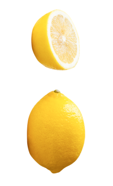 Yarım veya daire şeklinde dilimlenmiş olgun sarı limon meyvesi seti png dosya biçiminde kırpma yolu ile izole edilir.