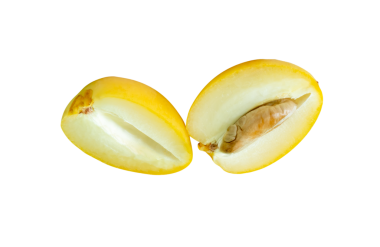 Png dosya biçiminde kırpma yolu ile iki yarım halinde taze olgun sarı hurma meyveleri izole edilir. Müslümanlar için Ramazan ayında iftar yemeği kavramı