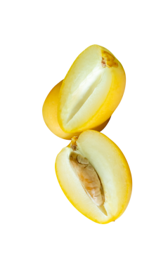 Png dosya biçiminde kırpma yolu ile taze olgun, sarı palmiye ağaçları üst üste dizilir. Müslümanlar için Ramazan ayında iftar yemeği kavramı