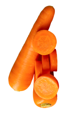 Dilimlenmiş turuncu havuç kökleri png dosya biçiminde kırpma yolu ile izole edilir.