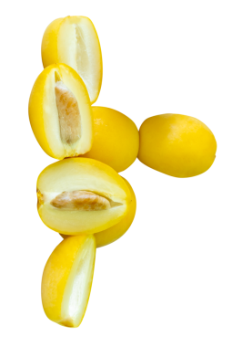 Png dosya biçiminde kırpma yolu ile taze, olgun, sarı Barhi hurma palmiye meyveleri üst üste dizilmiştir. Müslümanlar için Ramazan ayında iftar yemeği kavramı