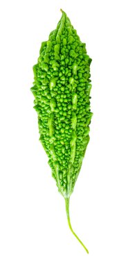 One green bitter gourd or bitter melon is isolated on white background with clipping path.