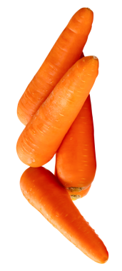 Yığının içindeki beş taze turuncu havuç kökü yan görünümü png dosya biçiminde kırpma yolu ile izole edilmiştir.