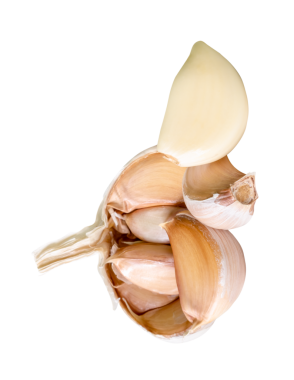 Yığınla karanfilli sarımsak ampulü png dosya biçiminde kırpma yolu ile izole edilir.