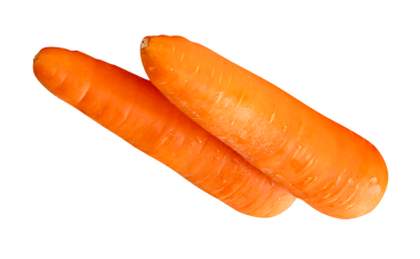 Yığındaki iki taze turuncu havuç kökünün yan görünümü png dosya biçiminde kırpma yolu ile izole edilmiştir.