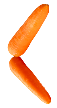 Yığındaki iki taze turuncu havuç kökünün yan görünümü png dosya biçiminde kırpma yolu ile izole edilmiştir.