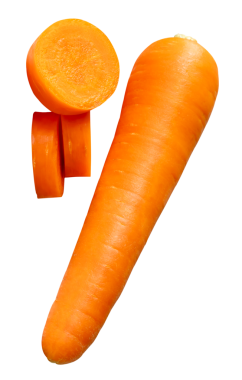 Dilimlenmiş turuncu havuç kökü, png dosya biçiminde kırpma yolu ile izole edilir.