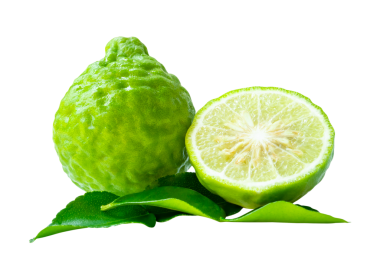 Taze yeşil bergamot meyveleri veya yarım ve yeşil yapraklı kaffir limonu yan görünümü png dosya biçiminde kırpma yolu ile izole edilmiştir.