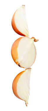 Beyaz ya da büyük soğan ampulü yarım ve çeyreklikler halinde png dosya biçiminde kırpma yolu ile izole edilir.