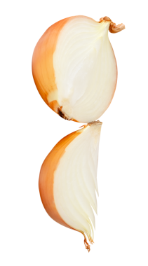 Beyaz ya da büyük soğan ampulü yarım ve çeyreklikler halinde png dosya biçiminde kırpma yolu ile izole edilir.