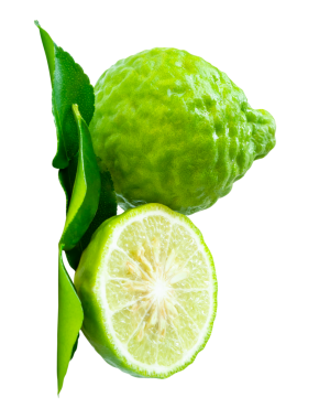 Taze yeşil bergamot meyveleri veya yarım ve yeşil yapraklı kaffir limonu yan görünümü png dosya biçiminde kırpma yolu ile izole edilmiştir.