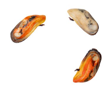 Üç pişmiş yeşil midyeli üst görünüm seti ve hiçbir kabuk kırpma yolu ile beyaz arka planda izole edilir.