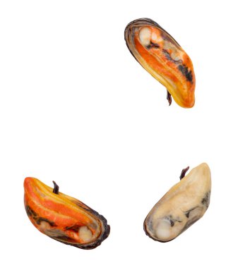 Üç pişmiş yeşil midyeli üst görünüm seti ve hiçbir kabuk kırpma yolu ile beyaz arka planda izole edilir.